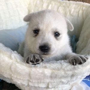 Meet your Posher, Evelyn